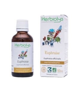 Euphraise - Extrait de plante fraiche 50mL BIO, 50 ml